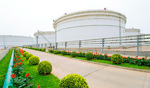 {dede:global.cfg_webname/}